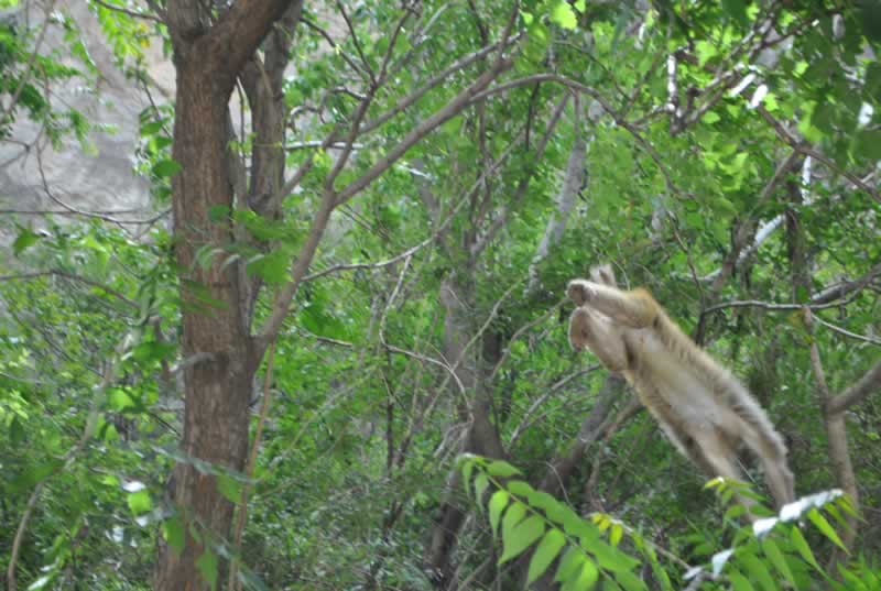 ������˲�g