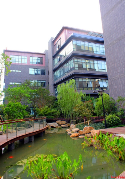 �W(w��ng)վ��(y��u)��֮�W(w��ng)վ����½���ԭ������Щ��