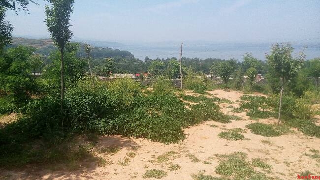 陸渾水庫(kù)服務(wù)區(qū)景色 陸渾水庫(kù)服務(wù)區(qū)景色