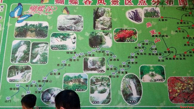 網(wǎng)站建設(shè)團(tuán)隊(duì)在蝴蝶谷景區(qū) 網(wǎng)站建設(shè)團(tuán)隊(duì)在蝴蝶谷景區(qū)