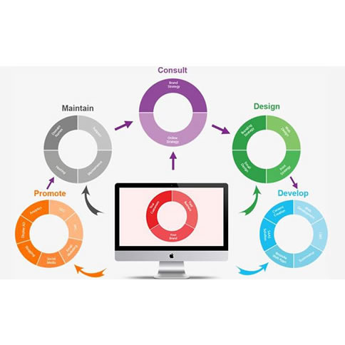 푑�(y��ng)ʽ����O(sh��)Ӌ�W(w��ng)վ��څ����ʲô