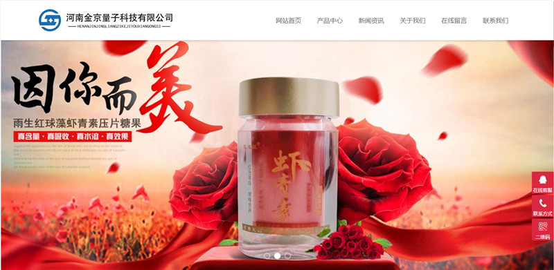 ���Ͻ����ӿƼ����޹�˾�W(w��ng)վ���O(sh��)���